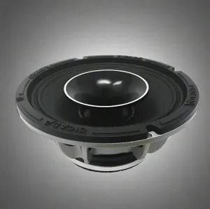 Cicada Audio CH65 6.5" Pro Coaxial Horn Speaker (Pair)