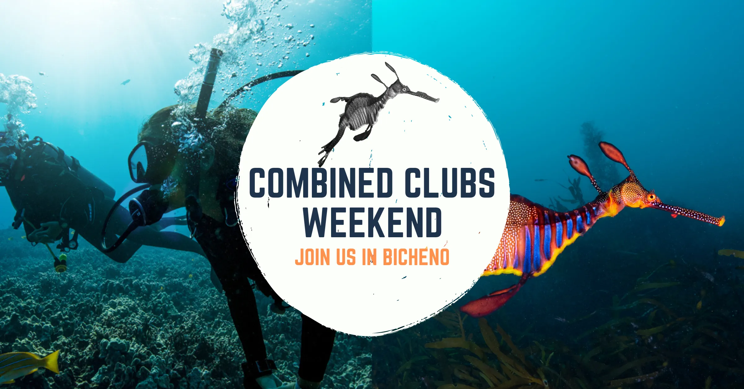 Combined Cubs Weekend 2024 - CCW