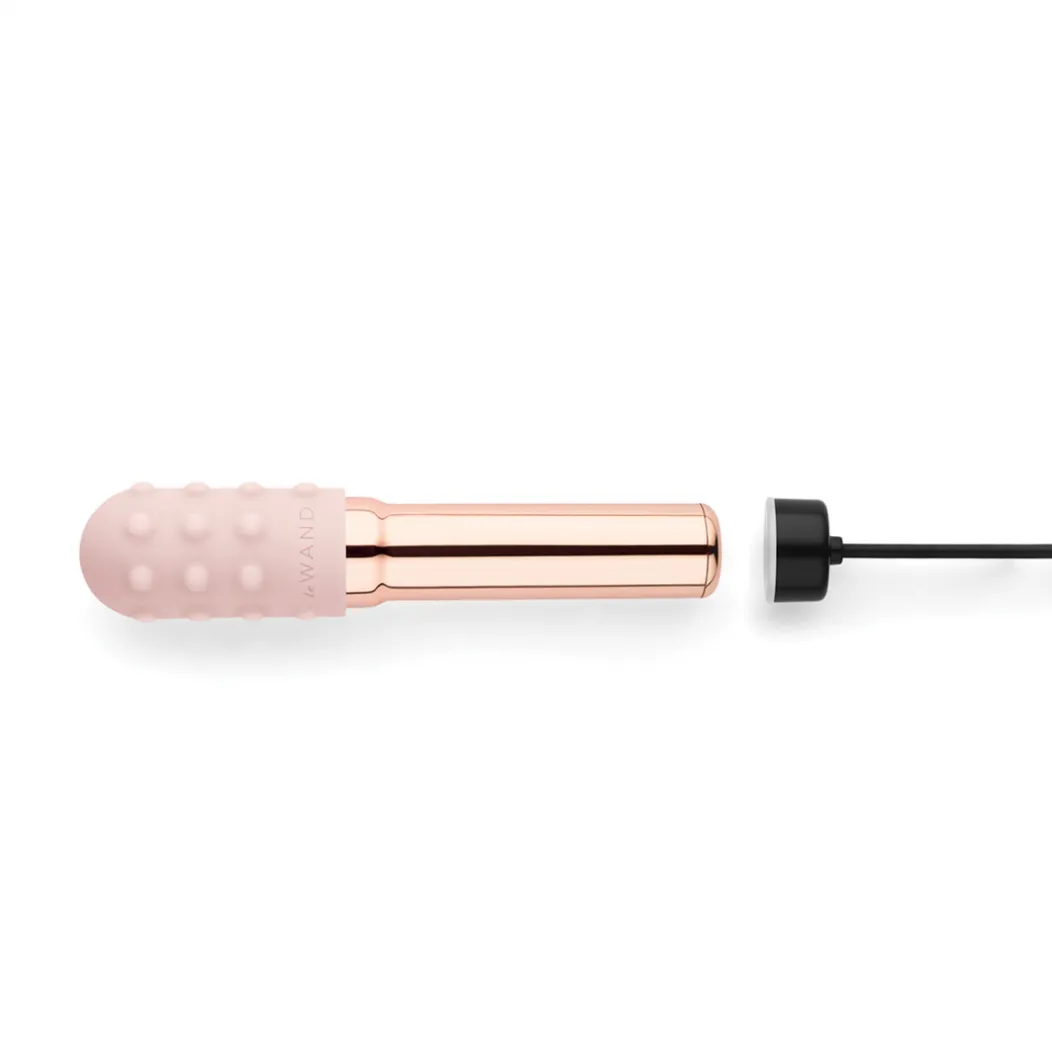 Le Wand Chrome Grand Bullet Vibrator