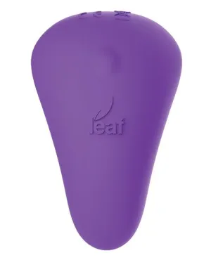 Leaf Plus Spirit W-remote Control