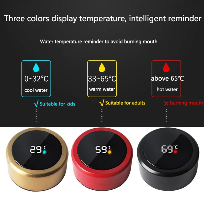 Temperature Water Bottle